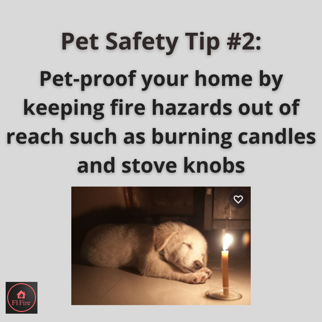 Pet Safety Tip #2