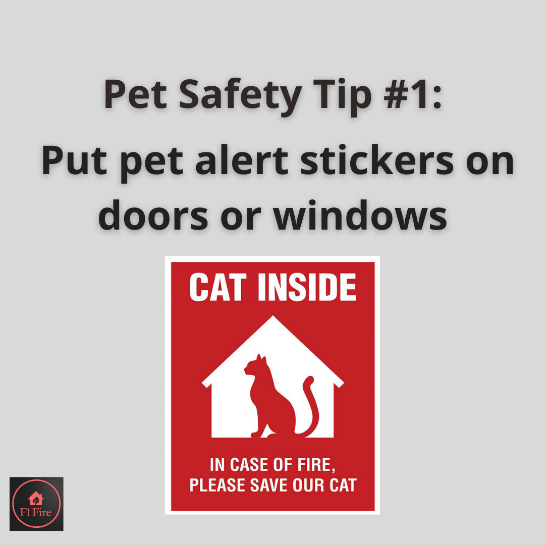 Pet Safety Tip #1